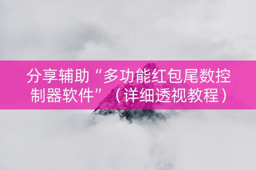 分享辅助“多功能红包尾数控制器软件”（详细透视教程）-哔哩哔哩