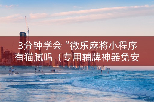 3分钟学会“微乐麻将小程序有猫腻吗（专用辅牌神器免安装）