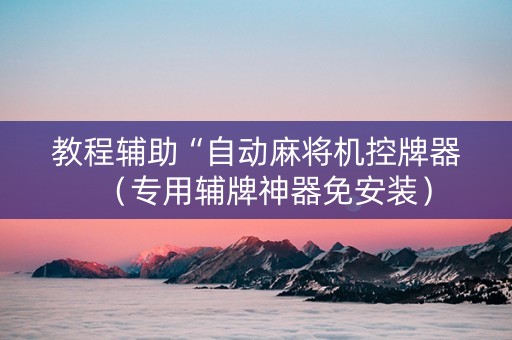 教程辅助“自动麻将机控牌器（专用辅牌神器免安装）
