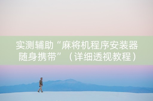 实测辅助“麻将机程序安装器随身携带”（详细透视教程）-哔哩哔哩