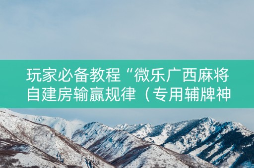 玩家必备教程“微乐广西麻将自建房输赢规律（专用辅牌神器免安装）