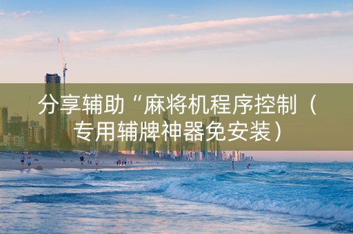 分享辅助“麻将机程序控制（专用辅牌神器免安装）