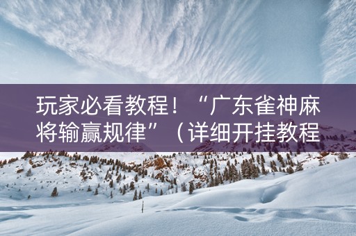 玩家必看教程！“广东雀神麻将输赢规律”（详细开挂教程）-哔哩哔哩