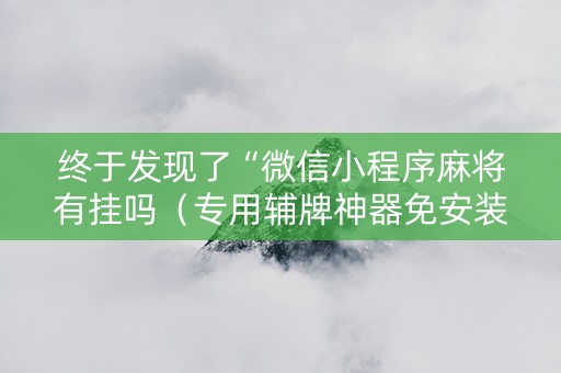 终于发现了“微信小程序麻将有挂吗（专用辅牌神器免安装）