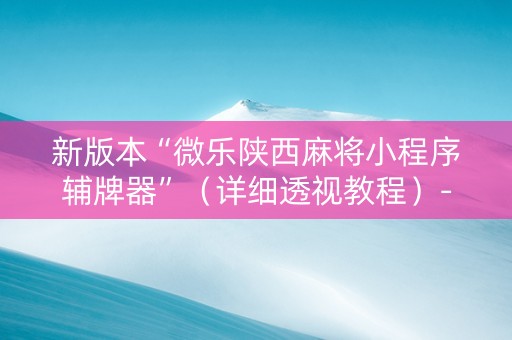 新版本“微乐陕西麻将小程序辅牌器”（详细透视教程）-哔哩哔哩