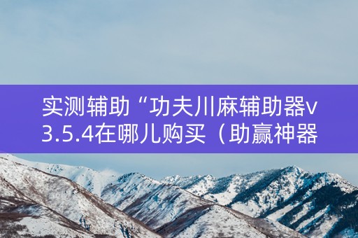 实测辅助“功夫川麻辅助器v3.5.4在哪儿购买（助赢神器通用版）