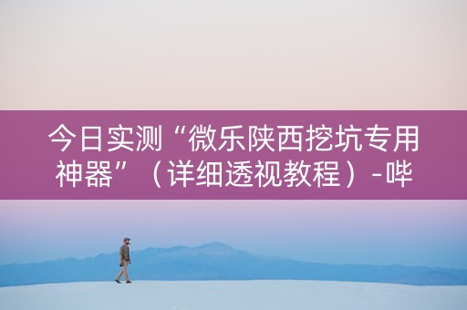 今日实测“微乐陕西挖坑专用神器”（详细透视教程）-哔哩哔哩