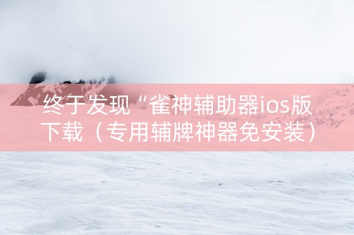 终于发现“雀神辅助器ios版下载（专用辅牌神器免安装）