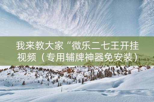 我来教大家“微乐二七王开挂视频（专用辅牌神器免安装）