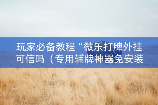 玩家必备教程“微乐打牌外挂可信吗（专用辅牌神器免安装）
