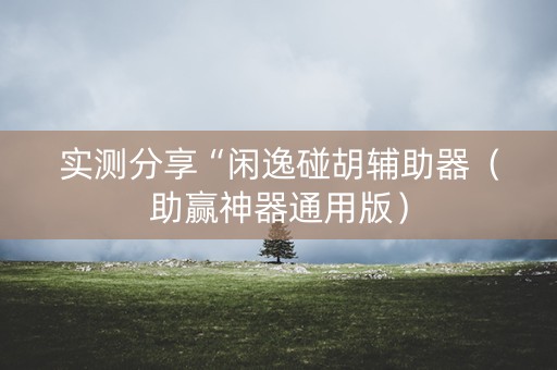 实测分享“闲逸碰胡辅助器（助赢神器通用版）