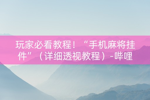 玩家必看教程！“手机麻将挂件”（详细透视教程）-哔哩哔哩