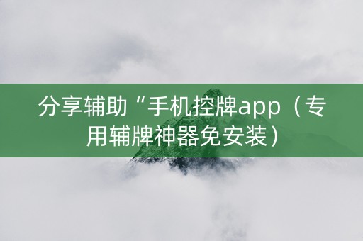 分享辅助“手机控牌app（专用辅牌神器免安装）
