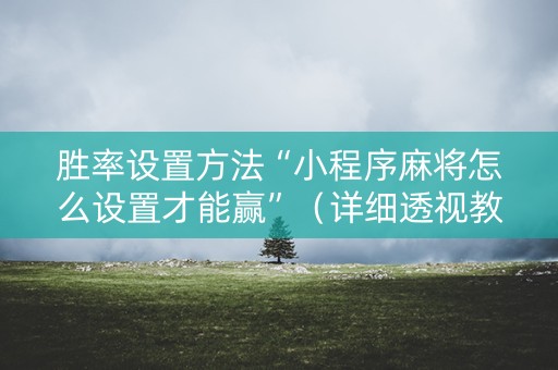 胜率设置方法“小程序麻将怎么设置才能赢”（详细透视教程）-哔哩哔哩