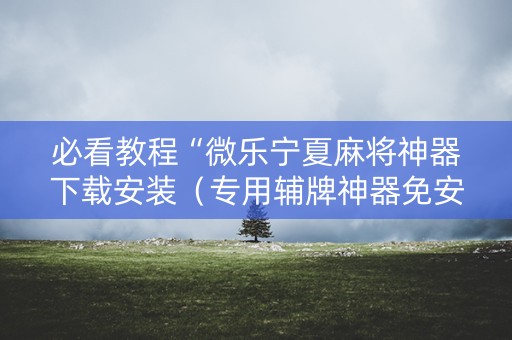 必看教程“微乐宁夏麻将神器下载安装（专用辅牌神器免安装）
