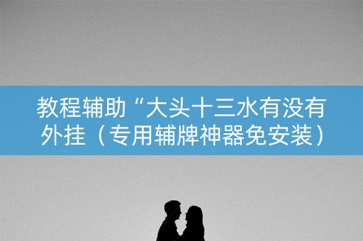 教程辅助“大头十三水有没有外挂（专用辅牌神器免安装）