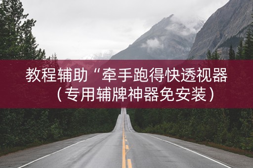 教程辅助“牵手跑得快透视器（专用辅牌神器免安装）