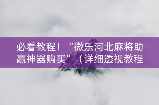 必看教程！“微乐河北麻将助赢神器购买”（详细透视教程）-哔哩哔哩