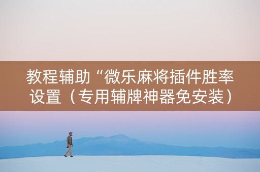 教程辅助“微乐麻将插件胜率设置（专用辅牌神器免安装）
