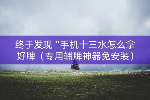 终于发现“手机十三水怎么拿好牌（专用辅牌神器免安装）