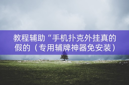 教程辅助“手机扑克外挂真的假的（专用辅牌神器免安装）