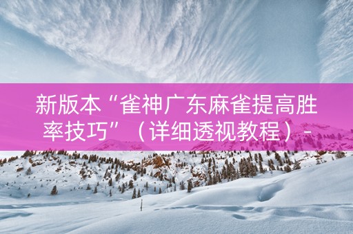 新版本“雀神广东麻雀提高胜率技巧”（详细透视教程）-哔哩哔哩