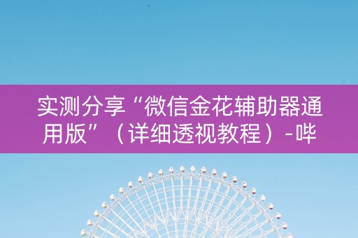 实测分享“微信金花辅助器通用版”（详细透视教程）-哔哩哔哩