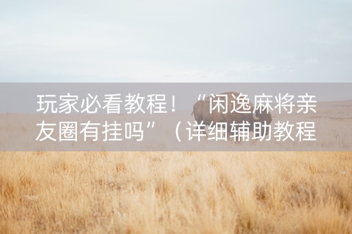 玩家必看教程！“闲逸麻将亲友圈有挂吗”（详细辅助教程）-哔哩哔哩
