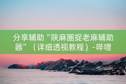 分享辅助“陕麻圈捉老麻辅助器”（详细透视教程）-哔哩哔哩