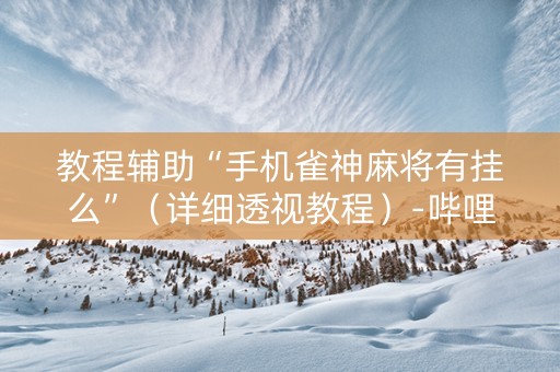 教程辅助“手机雀神麻将有挂么”（详细透视教程）-哔哩哔哩