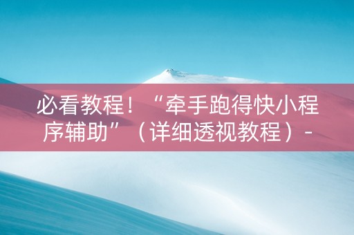必看教程！“牵手跑得快小程序辅助”（详细透视教程）-哔哩哔哩