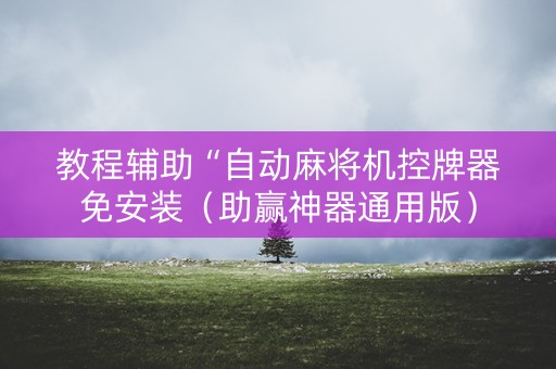 教程辅助“自动麻将机控牌器免安装（助赢神器通用版）