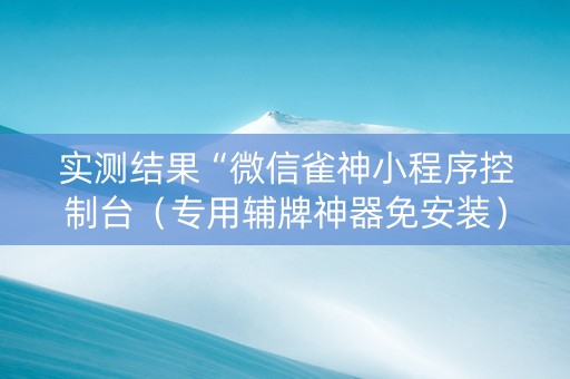 实测结果“微信雀神小程序控制台（专用辅牌神器免安装）