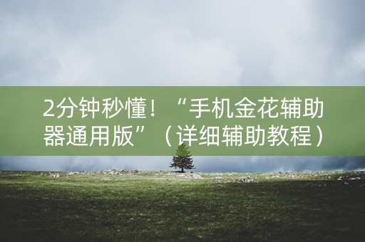 2分钟秒懂！“手机金花辅助器通用版”（详细辅助教程）-哔哩哔哩
