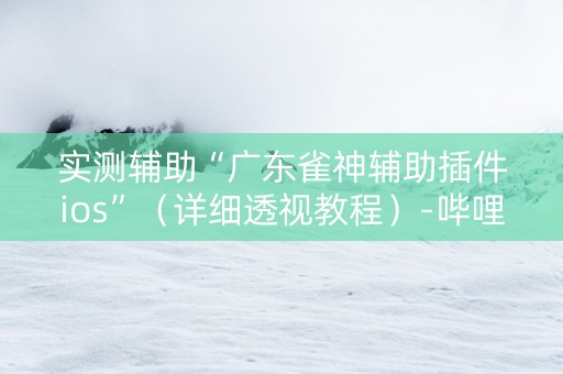 实测辅助“广东雀神辅助插件ios”（详细透视教程）-哔哩哔哩