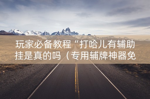 玩家必备教程“打哈儿有辅助挂是真的吗（专用辅牌神器免安装）