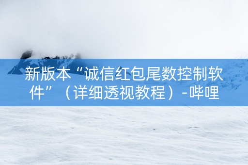 新版本“诚信红包尾数控制软件”（详细透视教程）-哔哩哔哩