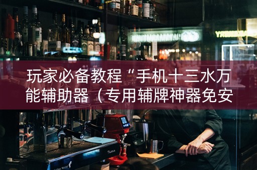 玩家必备教程“手机十三水万能辅助器（专用辅牌神器免安装）