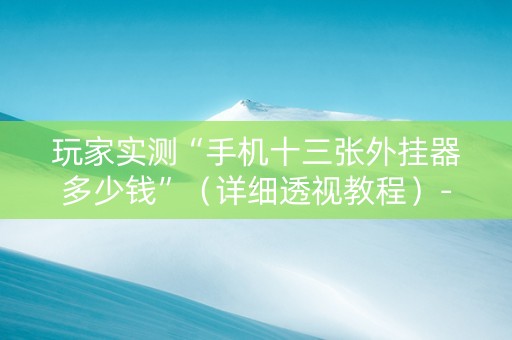 玩家实测“手机十三张外挂器多少钱”（详细透视教程）-哔哩哔哩