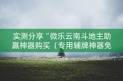 实测分享“微乐云南斗地主助赢神器购买（专用辅牌神器免安装）