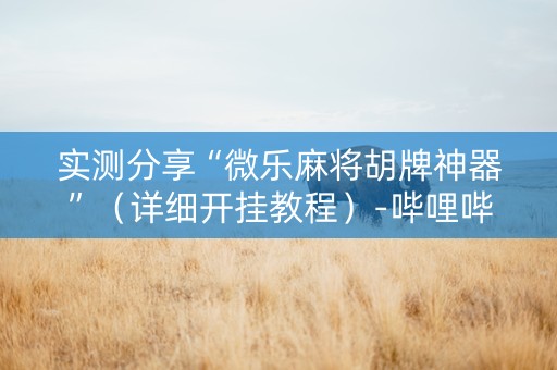 实测分享“微乐麻将胡牌神器”（详细开挂教程）-哔哩哔哩