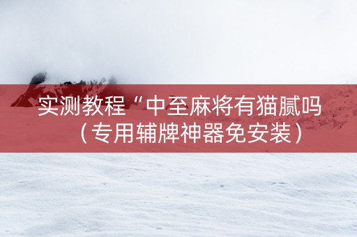 实测教程“中至麻将有猫腻吗（专用辅牌神器免安装）