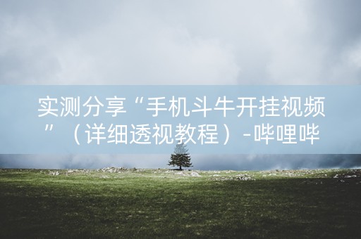 实测分享“手机斗牛开挂视频”（详细透视教程）-哔哩哔哩