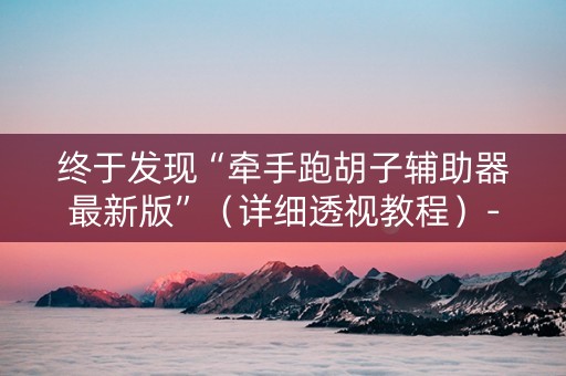 终于发现“牵手跑胡子辅助器最新版”（详细透视教程）-哔哩哔哩