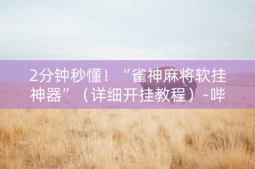 2分钟秒懂！“雀神麻将软挂神器”（详细开挂教程）-哔哩哔哩