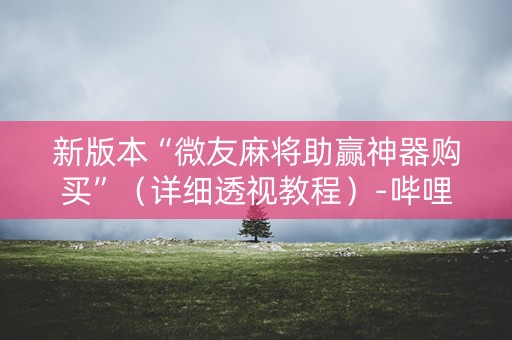 新版本“微友麻将助赢神器购买”（详细透视教程）-哔哩哔哩