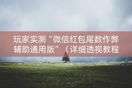 玩家实测“微信红包尾数作弊辅助通用版”（详细透视教程）-哔哩哔哩