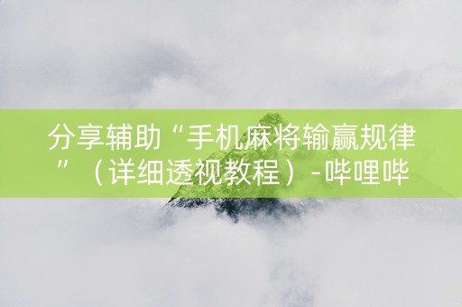 分享辅助“手机麻将输赢规律”（详细透视教程）-哔哩哔哩