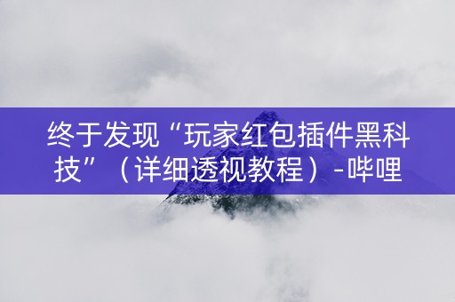 终于发现“玩家红包插件黑科技”（详细透视教程）-哔哩哔哩