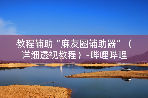 教程辅助“麻友圈辅助器”（详细透视教程）-哔哩哔哩
